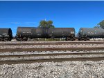 CRGX 7406